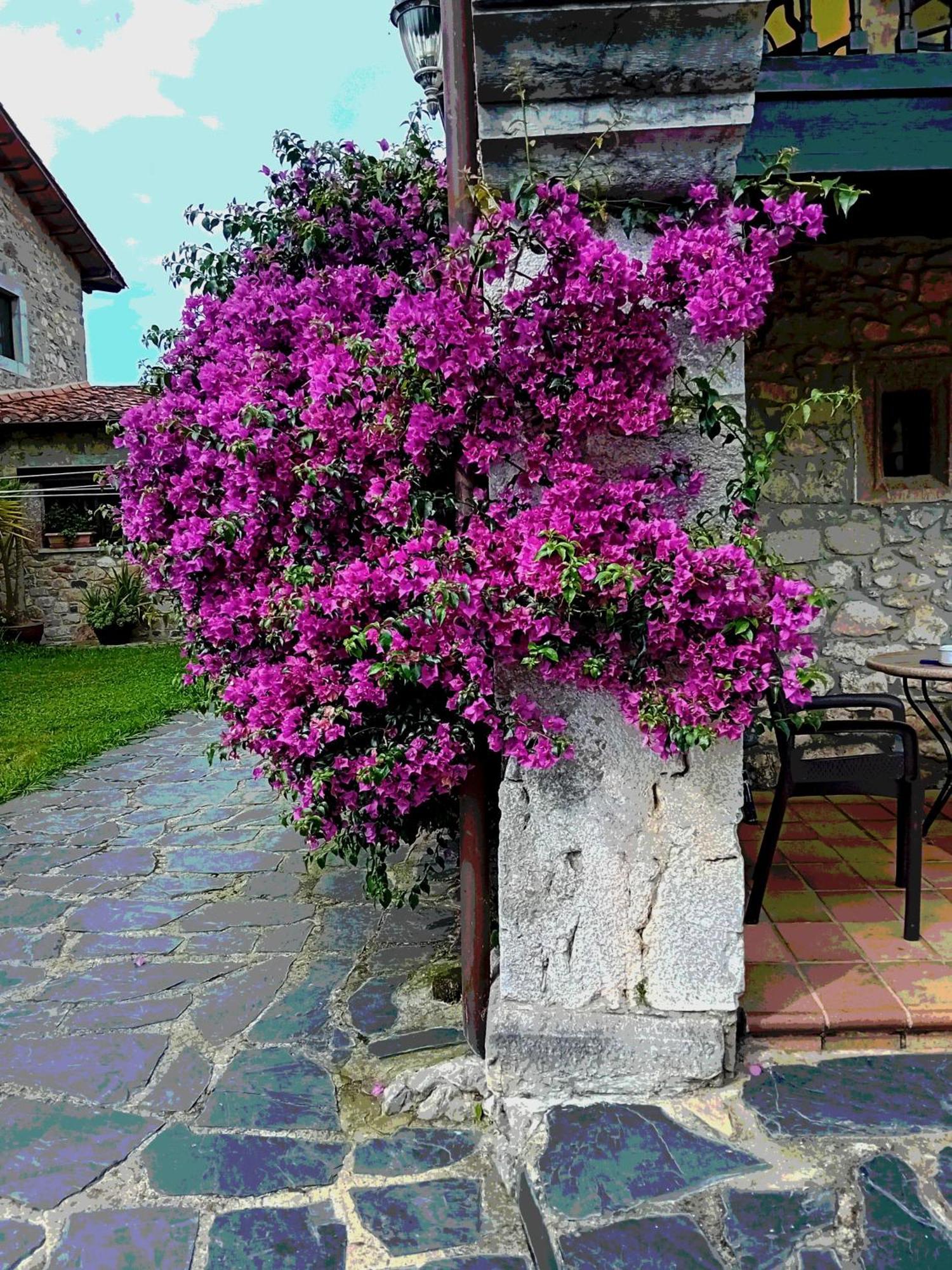 Gran Pedroso De Llanes Exterior foto